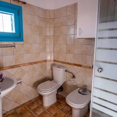 Golden View With Private Swimming Pool Chrisi Akti (Paros)