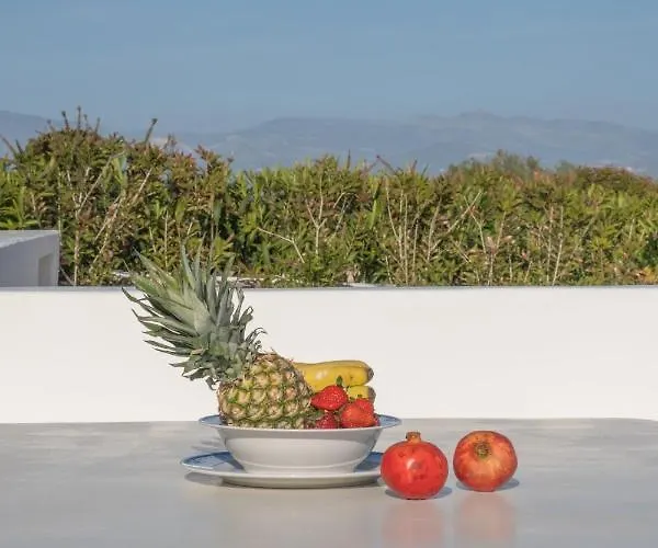 Golden View With Private Swimming Pool Chrisi Akti (Paros)